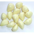 Wholesale Organic Peeled Garlic